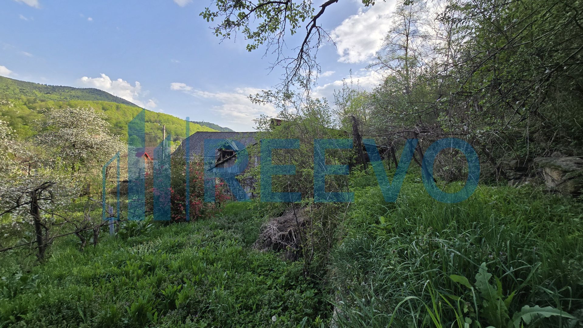 Casă de vânzare, Sat Harja, Oituz - Poză 22