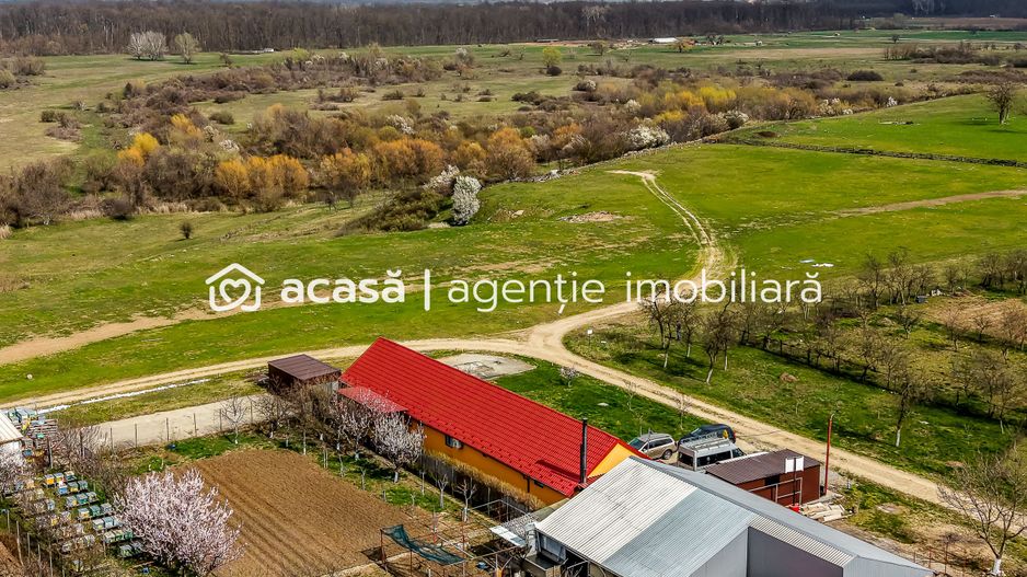 Casă modernă (2021) – Priveliște panoramică spre Lunca Mureșului - Poză 2