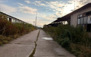 Fermă Sărand | Bihor | 25.659 mp teren intravilan - Poză 8