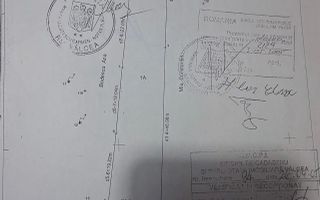 Teren Vladesti | 1025 MP | Zona White Department - Poză 5