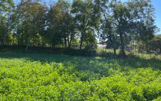 Teren Intravilan 1000mp - Jucu de Sus - Poză 5