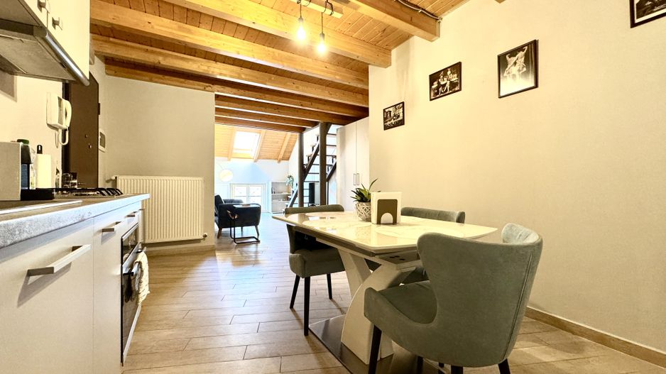 Apartament tip loft, 2 camere, Piața Unirii - Poză 14