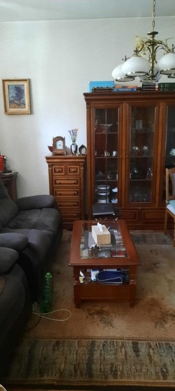 Vila - central in vecinatatea Palatului Parlamentului - Poză 4