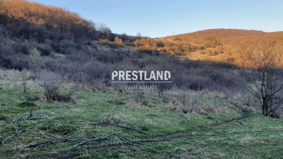 Teren 46.300 mp-zona Gușterița!! - Poză 7