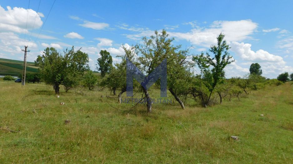 Teren 3860 mp lângă salba de lacuri a Acumulării Piscicole Mărtinești - Poză 6