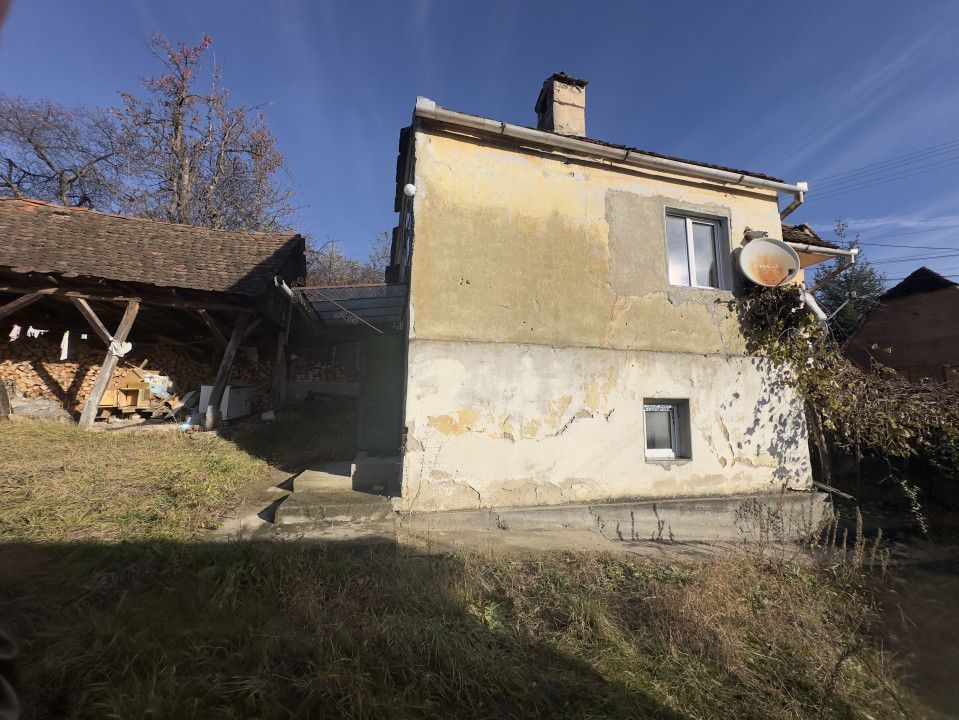 Casa individuala - Sat Vale, Saliste - Poză 8