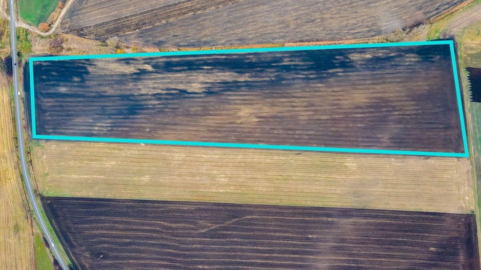 Teren Sânpaul lângă șosea - Poză 1