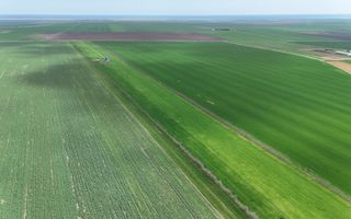 Teren de vanzare in Săcele ideal pentru silozuri, fermă 6 ha - Poză 24