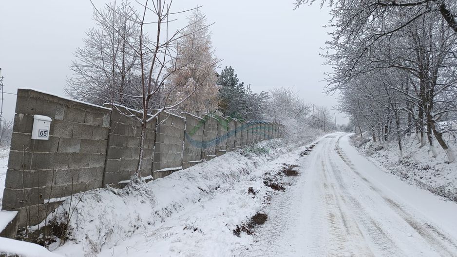 Teren de vanzare Adâncata - Poză 3