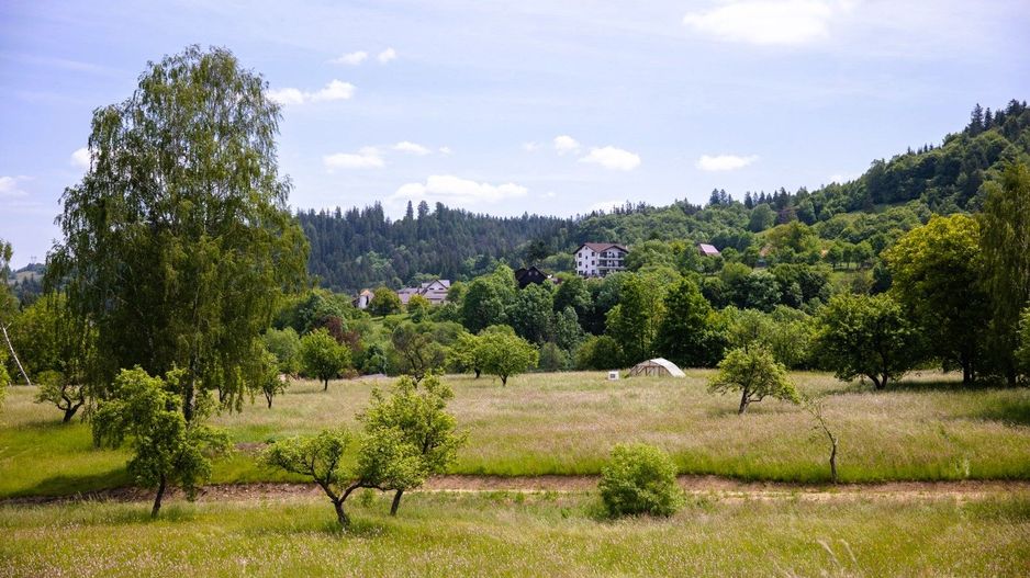 Teren intravilan - 1.050 mp în Bran cu utilitati – priveliște Bucegi - Poză 5