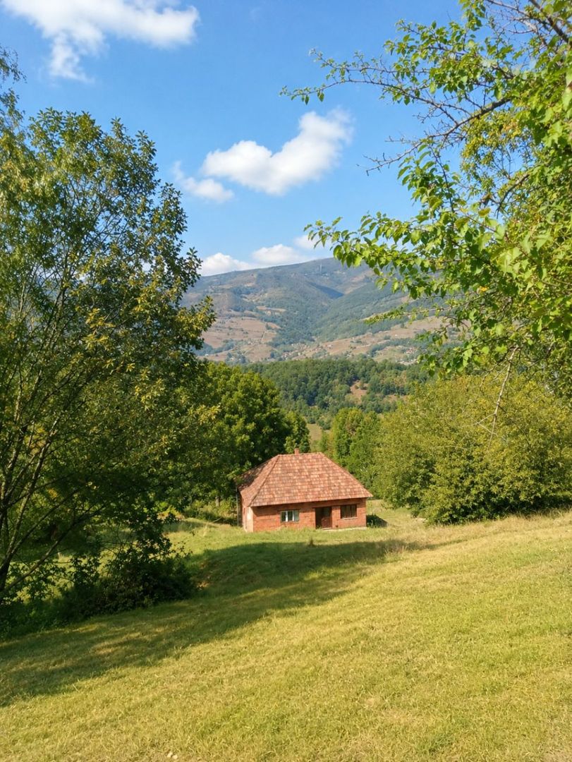 Casă de vacanță Bulz - Poză 5