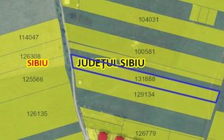 Teren Intravilan | 6000 mp | Turnisor - Poză 2