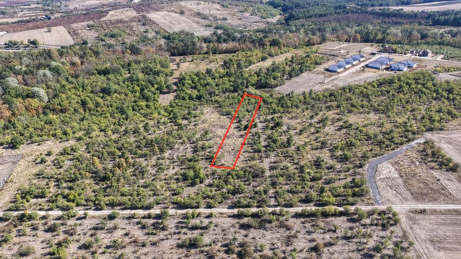 Teren Intravilan Paleu 2200mp - Poză 1
