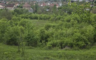 Teren de VANZARE|JIBLEA VECHE|11.000 EURO - Poză 8