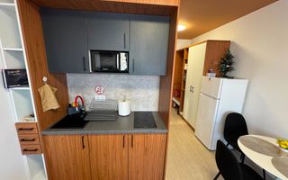 Studio, 44 mp, parcare, Zona UMFST - Poză 3