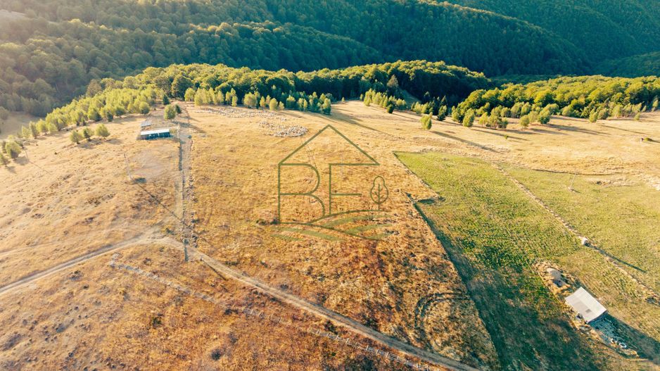 Păltiniș - Teren cu perspectivă panoramică pentru un refugiu în natură - Poză 4