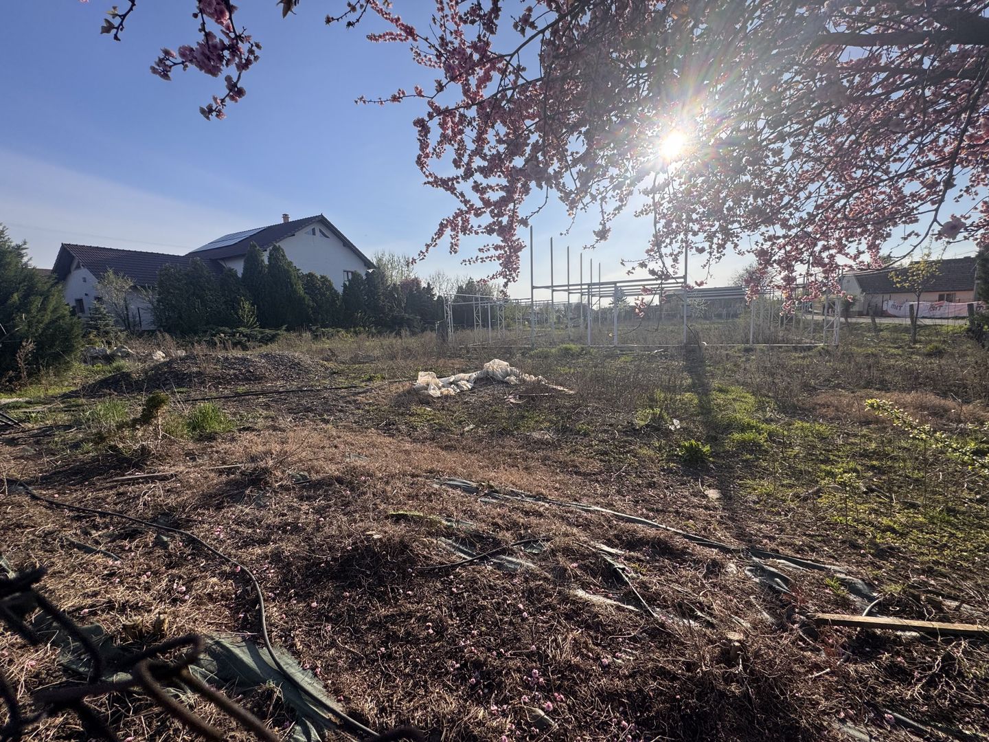 Teren Intravilan Becicherecu Mic 750mp,F.S 19ml,Utilitati,Asfalt - Poză 4