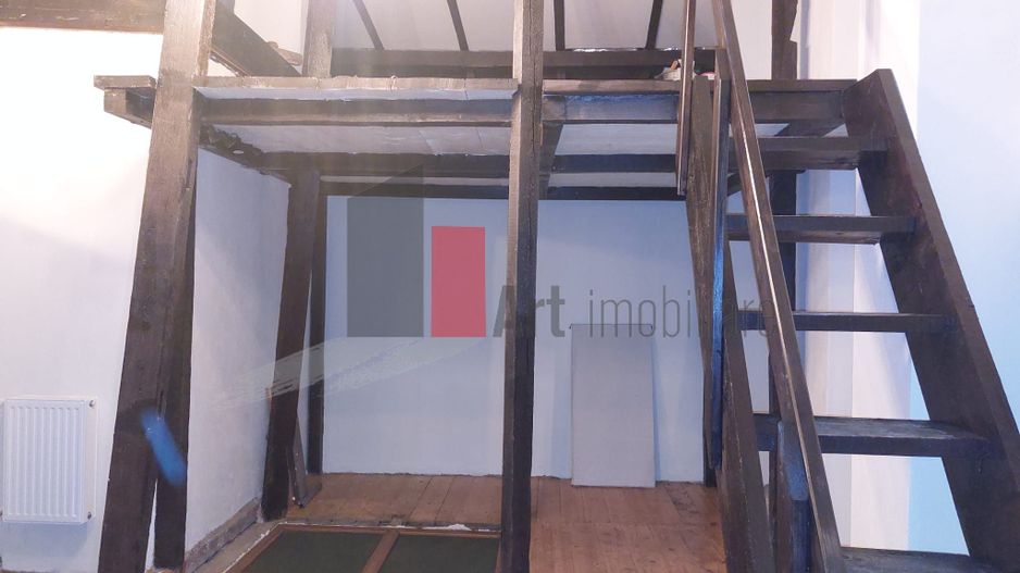 Apartamentul "DISINJATUR" , et. 1/1 in vila stil neoromanesc - Poză 24