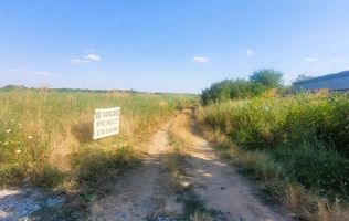 Teren Cernica intravilan 1000 mp