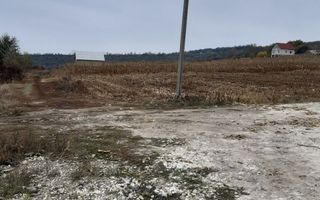 Teren pentru construcții – 7 ari, Zaicana - Poză 3
