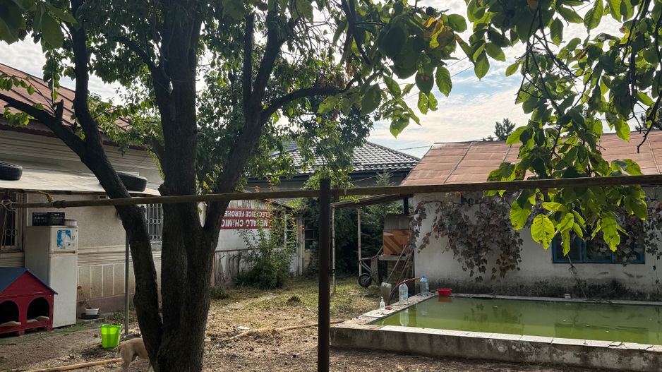Casa + teren 1.065 mp | Domnesti – Zona Toamnei | Deschidere 20 ml - Poză 17