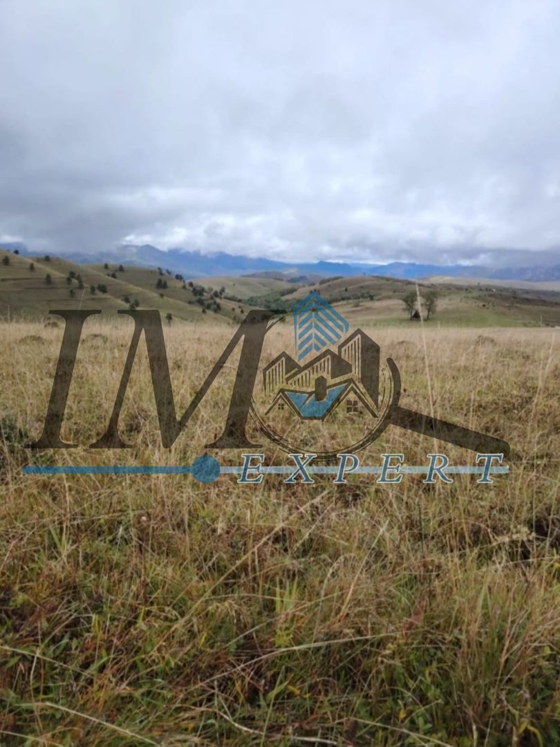 Teren extravilan Transapuseana - Poză 4