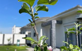 Casă în Clinceni  Ideală pentru Familie - Poză 19