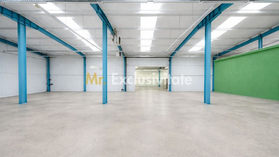 HALA INDUSTRIALA 595 MP | DN 65B – BRADU | CURTE 1.466 MP | AUTOSTRADA - Poză 4