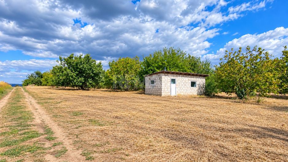 LIVADĂ DE NUCI – 24,5 HA | ȚÎNȚĂRENI, ANENII NOI - Poză 5