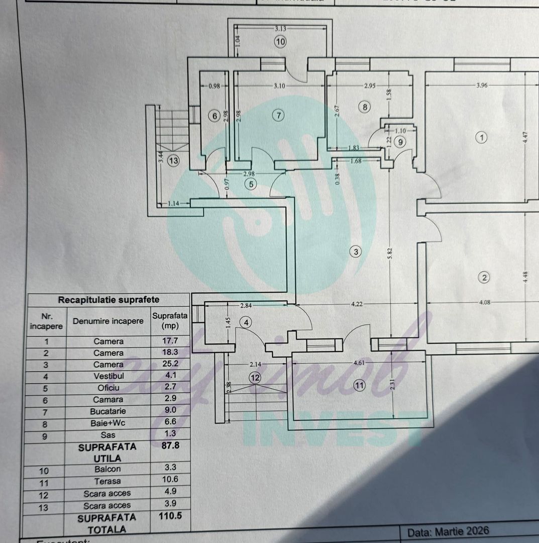 Parter vilă + demisol | Aviatorilor – Herăstrău | Grădină - Poză 4