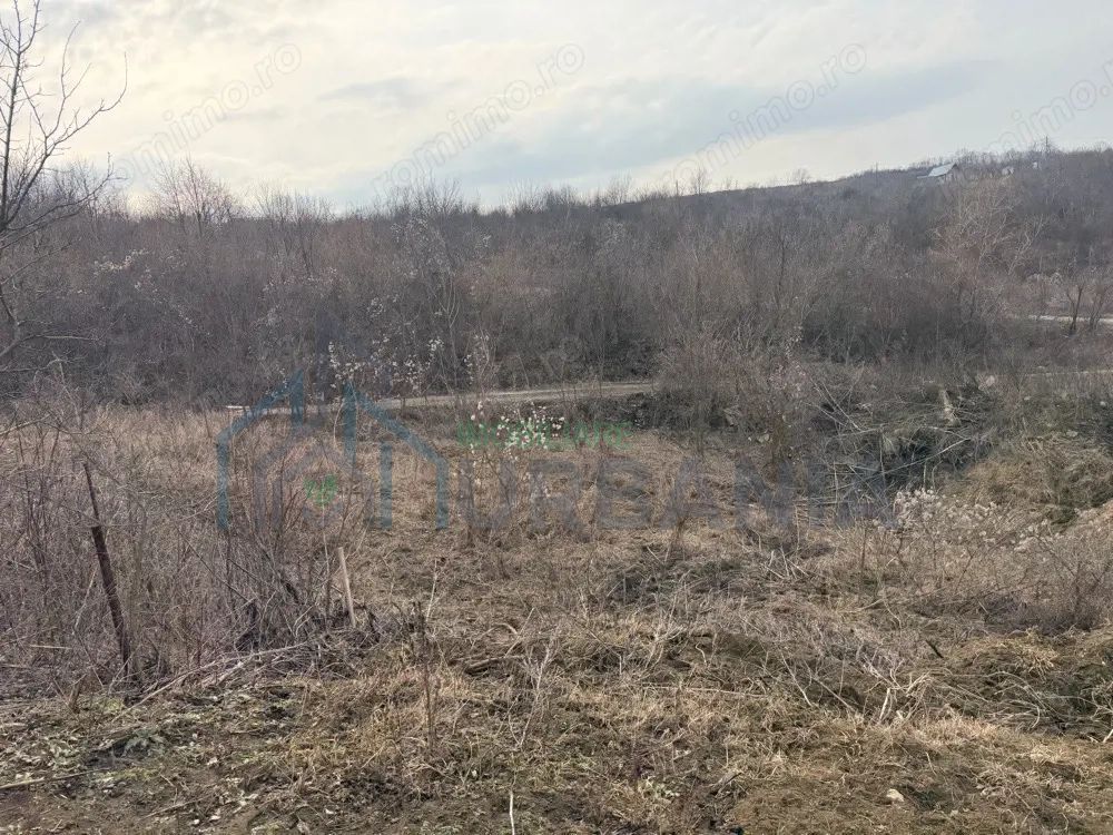 Teren cu priveliste superba, Vladiceni Iasi - Poză 4