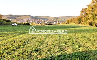 De vanzare 2 terenuri de 29.500 mp si 1.400 mp.29 euro mp - Poză 1