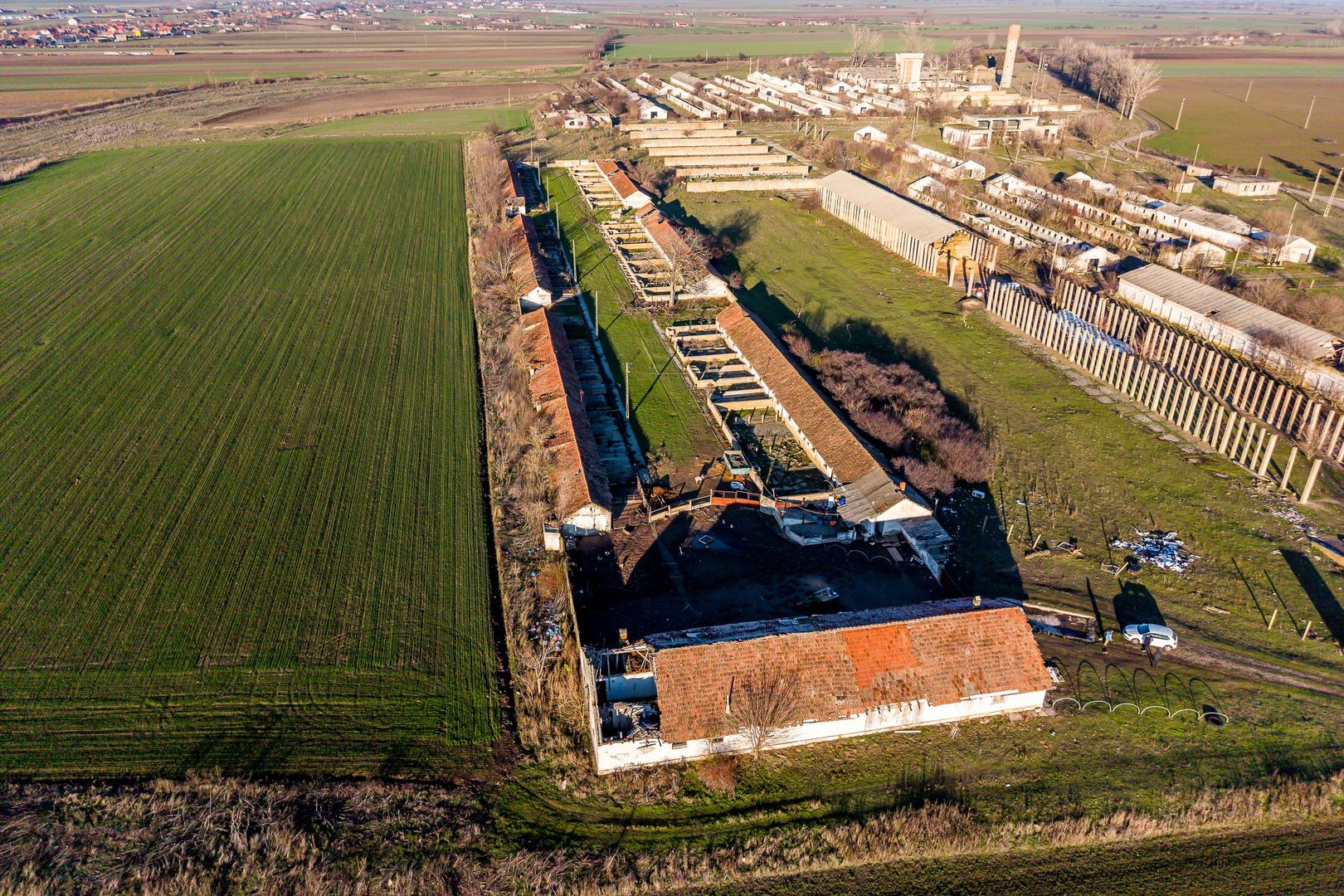 Ferma 11.5 HA lângă DN7 & Autostrada E68 – Nădlac | clădiri+utilități - Poză 1