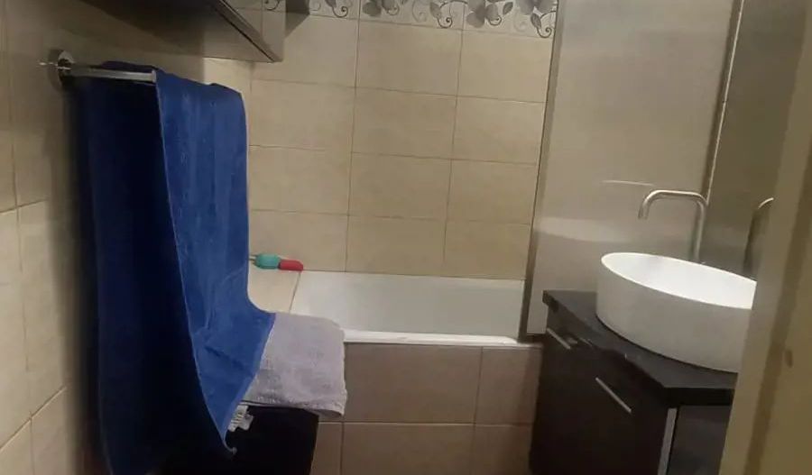 Garsoniera Vitan/Dristor - Poză 9