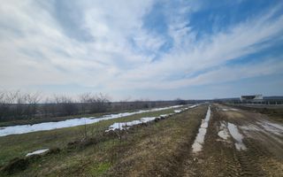 Teren intravilan 3,4 Ha Ciorogarla str.  Nicolae Iorga - Poză 4