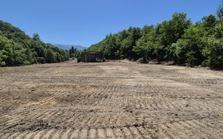 Teren intravilan 18.259 mp + construcție industrială, Mârșa - Poză 1