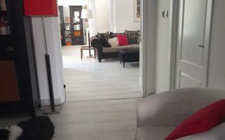 Apartament premium cu grădină proprie – 114 mp - Poză 3