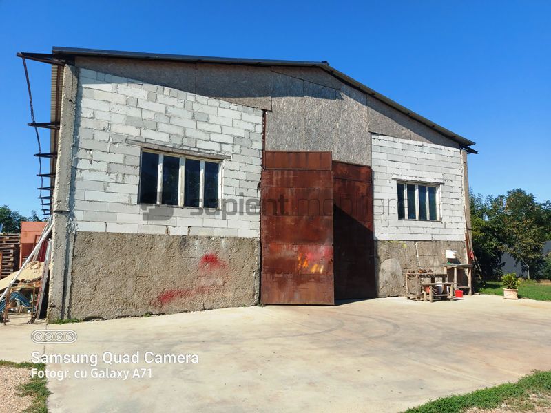 Hala ideala pentru depozitare str.Santaului - Poză 5