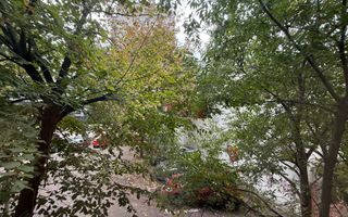 3 camere cochete langa Parcul IOR si metrou - Poză 7