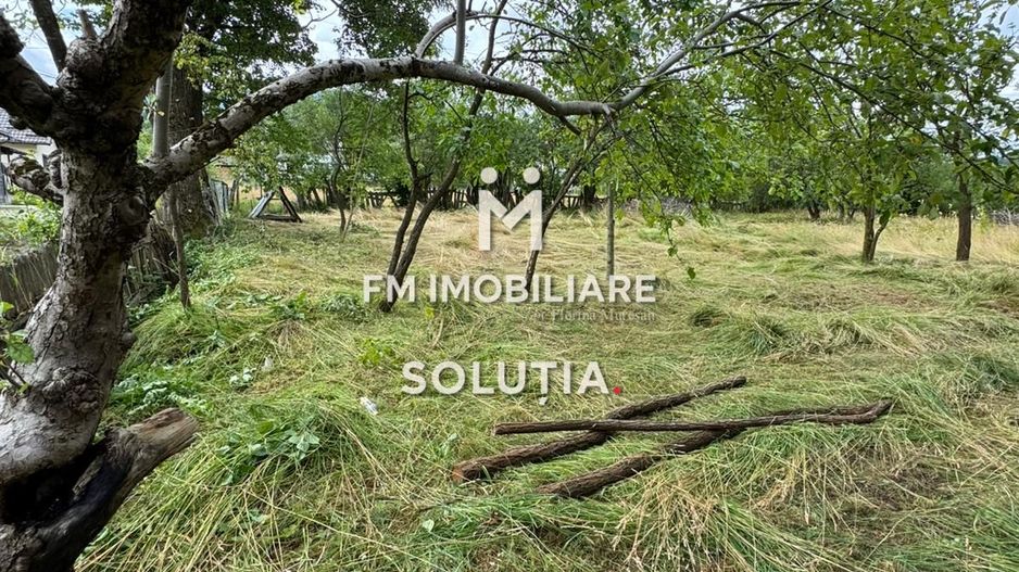 Casă de vânzare în Moisei, zonă turistică- 23 ari teren! - Poză 8