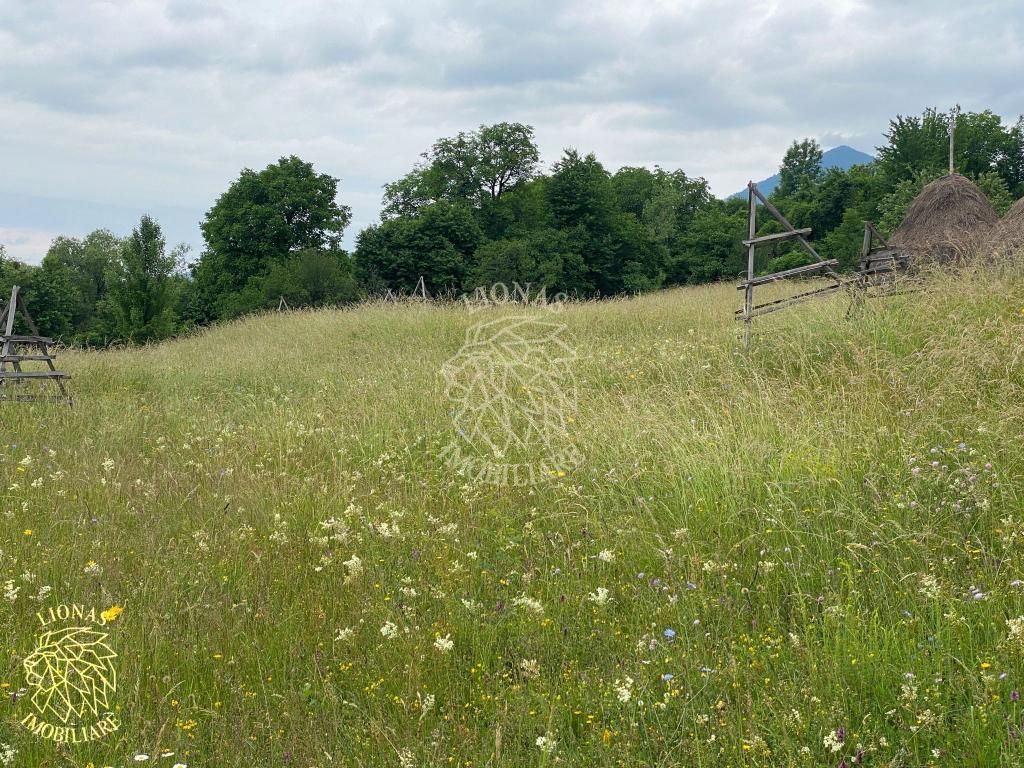 Teren Intravilan 3093 mp-ideal case/cabane/pensiune-Bistrita Bargaului - Poză 3