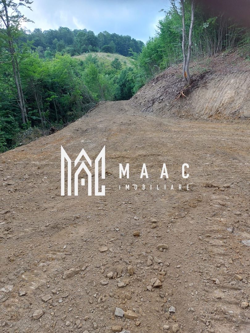 5000 teren in Muntii Apuseni I Pregatit pentru constructie - Poză 14