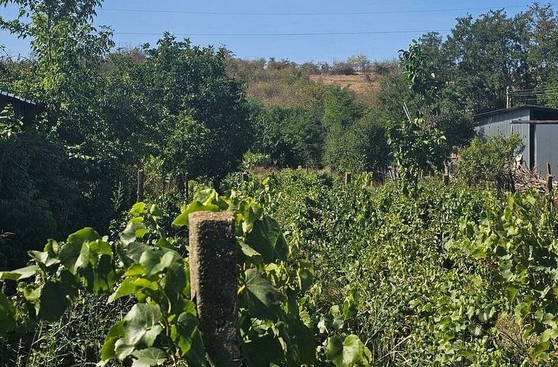 Teren 1800 mp + casa batraneasca - Fartanesti, jud. Galati - Poză 1