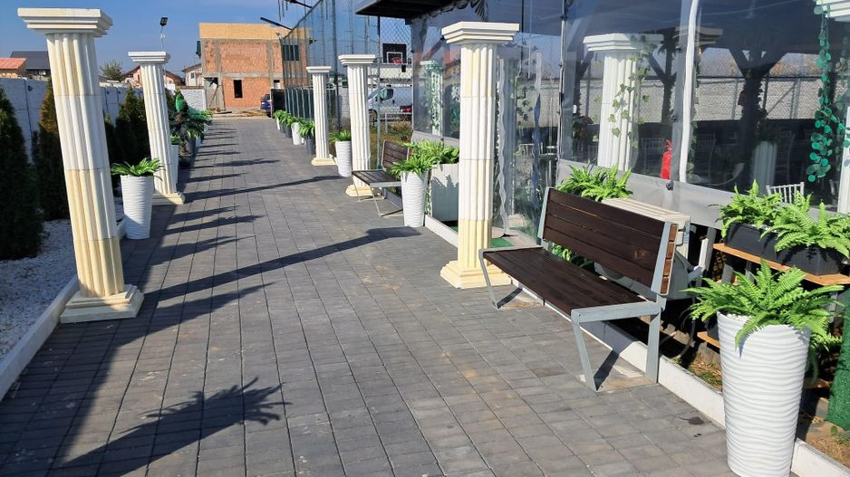 VILA INDIVIDUALA, PISCINA EXTERIOARA, 2000 MP TEREN, COMISION 0% - Poză 8