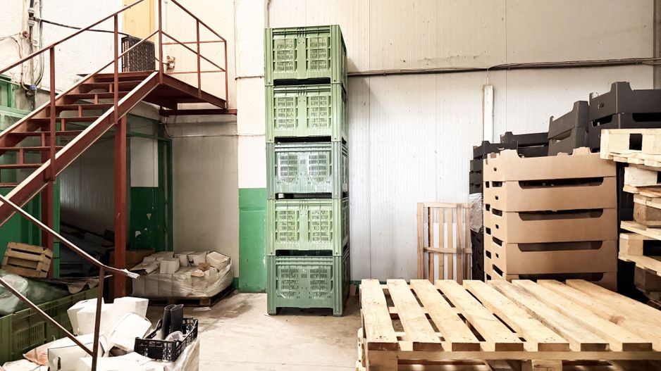 Hala industriala de vanzare Arad – 589 mp - Poză 3