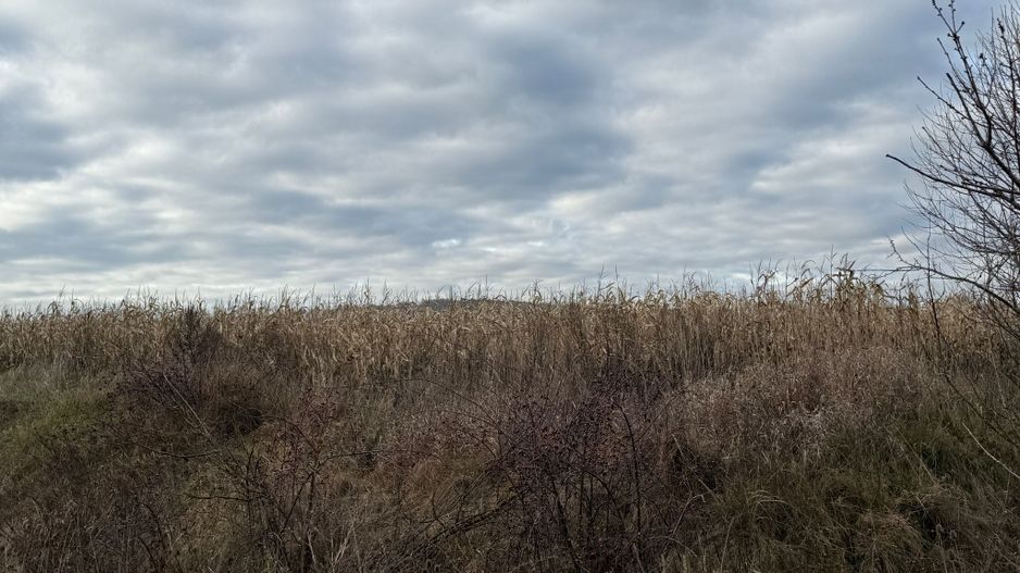 VAND TEREN 46 ARI | VOLOVAT | 47.000 EURO | - Poză 10