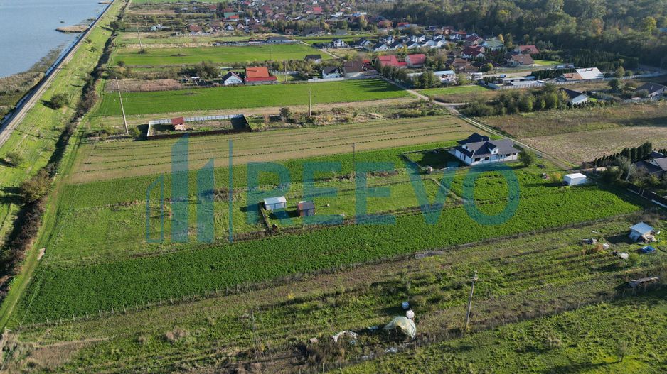 Teren 3.600 mp Lilieci - Poză 3