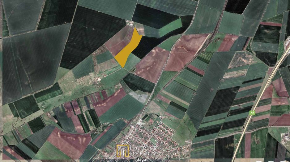 Teren agricol 12,28 ha Sagu – acces DN69 & A1, acum 1,38 €/m - Poză 2