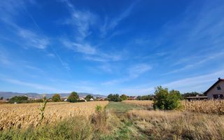 Te vanzare teren intravilan 2097mp, cu utilitati, Oarda de Jos - Poză 4