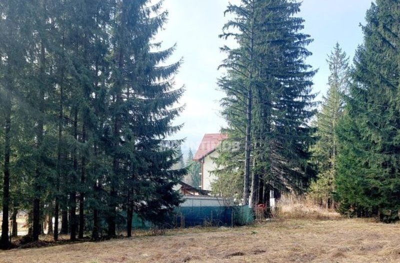 Teren intravilan în Poiana Brașov 1404 mp, str. Poiana Ruia - Poză 4